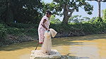 Amazing Net Fishing    Village Women Net Fishing f
