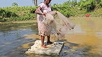 Amazing Net Fishing    Village Women Net Fishing f