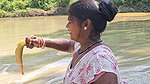 Amazing Net Fishing    Village Women Net Fishing f