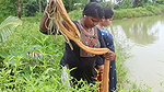 Amazing New Village Women Net Fishing Video    Vil