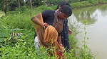 Amazing New Village Women Net Fishing Video    Vil