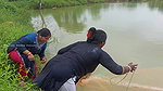 Amazing New Village Women Net Fishing Video    Vil