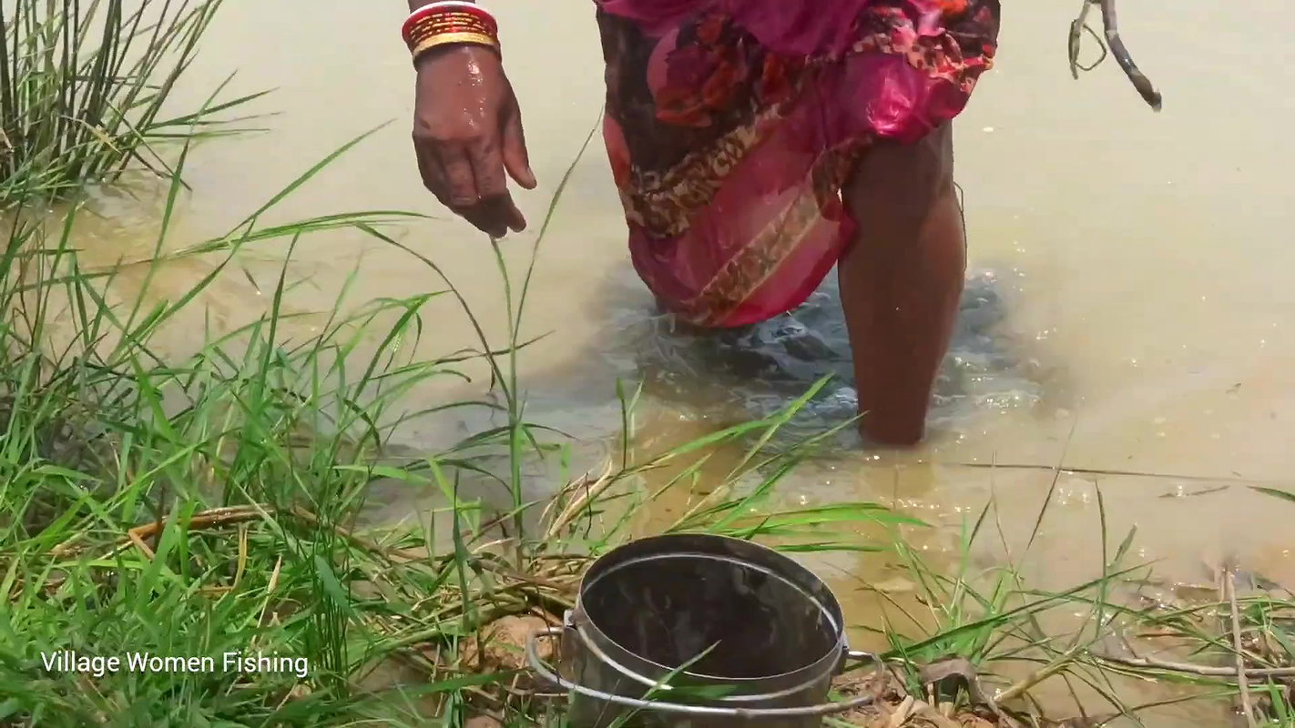 Amazing pond Crab catching by Village women   Vill