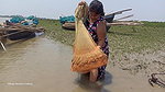 Amazing River fishing by Village women Net fishing