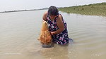 Amazing River fishing by Village women Net fishing
