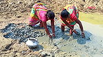 Amazing Traditional Hand Fishing by Village women