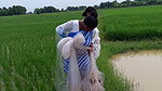 Amazing Two Village Women Catching Fish with Net