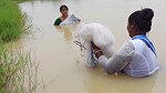 Amazing Two Village Women Catching Fish with Net