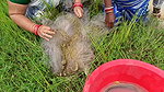 Amazing Two Village Women Catching Fish with Net