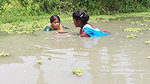 Amazing Village  Women Unique Net Fishing    Villa