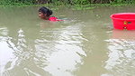 Amazing Village Ladies Net fishing in village pond