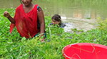 Amazing Village Ladies Net fishing in village pond