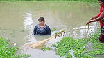 Amazing Village Ladies Net fishing in village pond