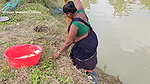 Amazing Village Women  et Fishing video    Village