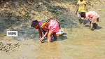 Amazing Village women collecting snails in Mud
