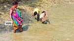 Amazing Village women collecting snails in Mud