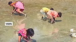 Amazing Village women collecting snails in Mud