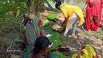 Amazing Village Women Cooking Duck Curry for Villa