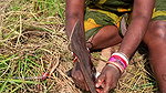 Amazing Village women Fish Cutting and Cooking   V