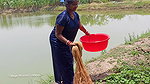 Amazing village women fishing and Enjoying summer