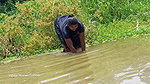 Amazing village women fishing and Enjoying summer