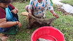 Amazing Village Women fishing in Amazon forest