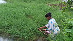 Amazing Village Women fishing in Amazon forest