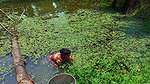 x Amazing Village Women Fishing in Dirty water