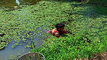 x Amazing Village Women Fishing in Dirty water