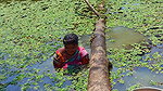 x Amazing Village Women Fishing in Dirty water