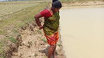 Amazing village women fishing in mud water  গ্রামে