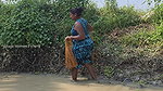 Amazing Village Women Fishing in Mud Water    Big
