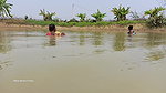 Amazing Village Women Fishing in village pond   Bi
