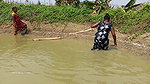 Amazing Village Women Fishing in village pond   Bi