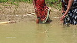 Amazing Village Women Fishing in village pond   Bi