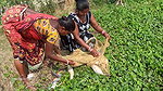 Amazing Village Women Fishing in village pond   Bi