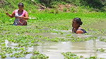 Amazing village women fishing in village pond   Ne
