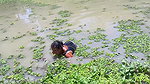 Amazing village women fishing in village pond   Ne