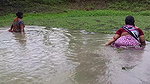 Amazing Village women fishing in village pond   vi