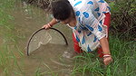 Amazing village women fishing technique    village