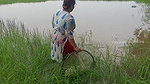 Amazing village women fishing technique    village