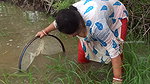 Amazing village women fishing technique    village