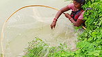 Amazing village women fishing using big net  মৌনি