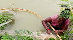 Amazing village women fishing using big net  মৌনি