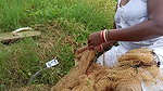 Amazing Village women Fishing video    Mouni fishi