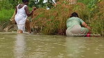 Amazing Village women Fishing video    Mouni fishi
