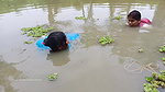 Amazing Village women fishing video