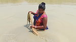 Amazing Village women Fishing with bare hand   Mou