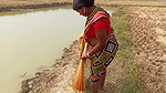 Amazing Village Women fishing with Net   village l