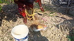Amazing Village Women Fishing    Carp Fishing